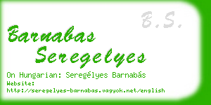barnabas seregelyes business card