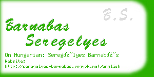 barnabas seregelyes business card